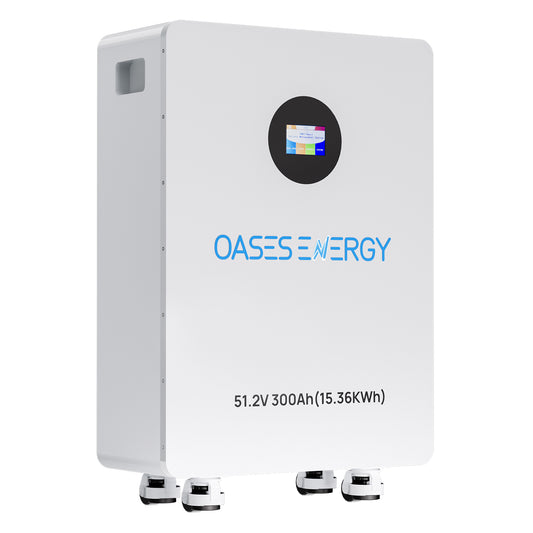 48V 300Ah LiFePO4 Lithium Battery, 15.36kWh Capacity Built-in 200A BMS & Touchable LCD Screen, for Solar System, Off-Grid Applications, Home Energy Storage,