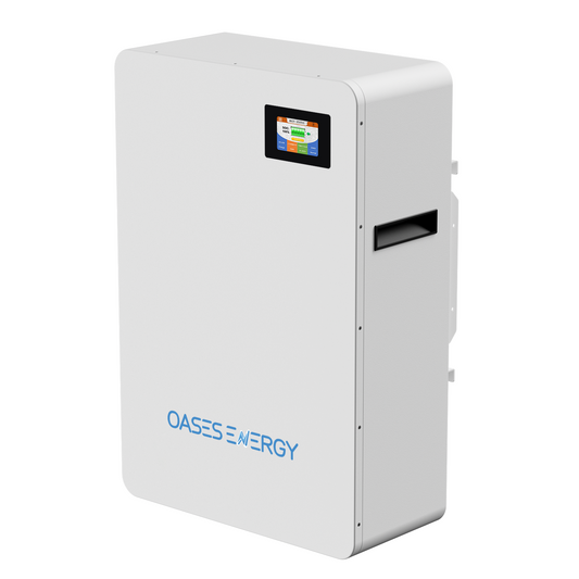 48V 200AH Lithium LiFePO4 Battery, 10.24kWh Capacity Wall Mounted 48V Lithium Battery with 100A BMS