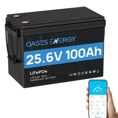 24V 100Ah LiFePO4 Lithium Battery Mini, With 100A BMS, Bluetooth App, 4000~15000 Cycles,10-Year Lifetime,Perfect for RV, Camping, Marine, Solar Home System,Trolling Motor