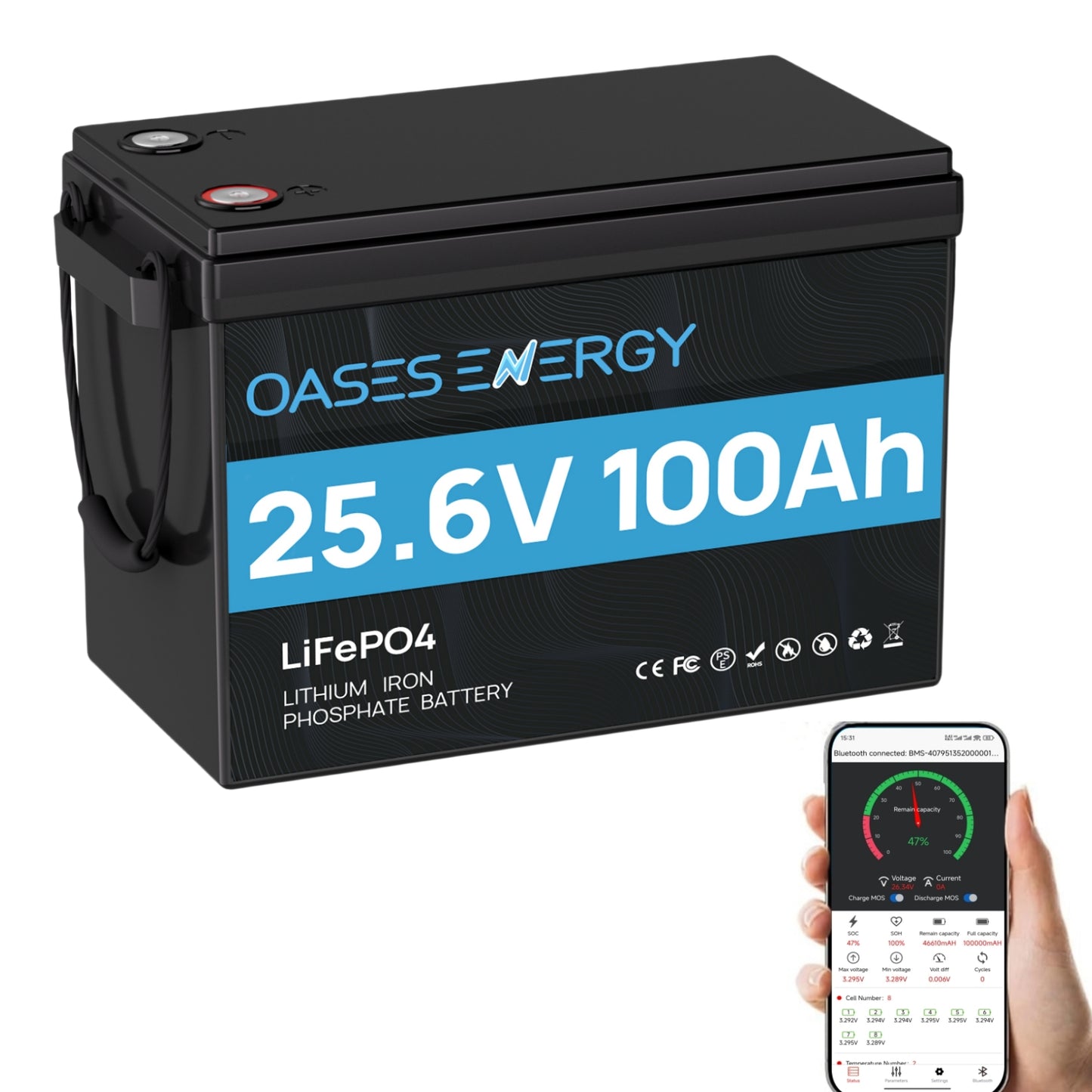 24V 100Ah LiFePO4 Lithium Battery Mini, With 100A BMS, Bluetooth App, 4000~15000 Cycles,10-Year Lifetime,Perfect for RV, Camping, Marine, Solar Home System,Trolling Motor