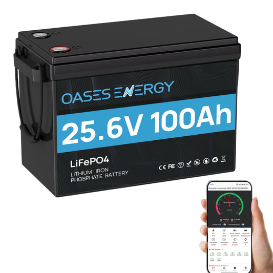 24V 100Ah LiFePO4 Lithium Battery Mini, With 100A BMS, Bluetooth App, 4000~15000 Cycles,10-Year Lifetime,Perfect for RV, Camping, Marine, Solar Home System,Trolling Motor