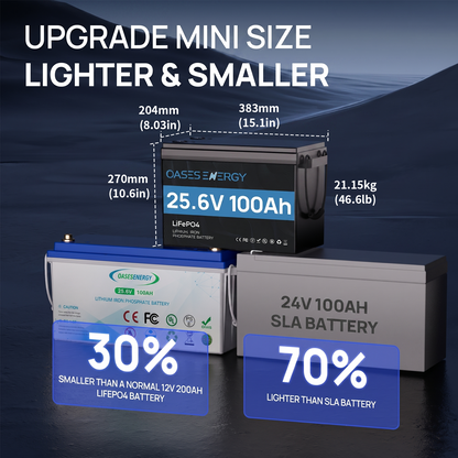 24V 100Ah LiFePO4 Lithium Battery Mini, With 100A BMS, Bluetooth App, 4000~15000 Cycles,10-Year Lifetime,Perfect for RV, Camping, Marine, Solar Home System,Trolling Motor