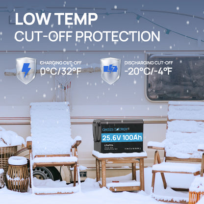 24V 100Ah LiFePO4 Lithium Battery Mini, With 100A BMS, Bluetooth App, 4000~15000 Cycles,10-Year Lifetime,Perfect for RV, Camping, Marine, Solar Home System,Trolling Motor