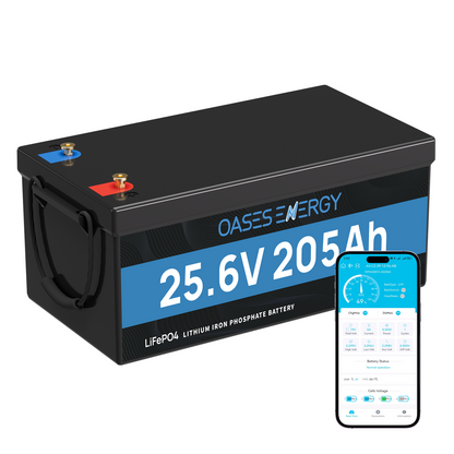 24V 200Ah LiFePO4 Batterie mit 200A BMS für Wohnmobil, Solarpanel Kit, Camping, Boote, Solar Energie-Speicher