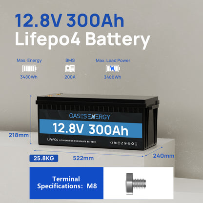 12V 300Ah LiFePO4 Lithium Battery with 200A BMS for RV, Home Power Shortage, Camping, Boats, and Off Grid Applications