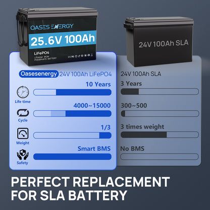 24V 100Ah LiFePO4 Lithium Battery Mini, With 100A BMS, Bluetooth App, 4000~15000 Cycles,10-Year Lifetime,Perfect for RV, Camping, Marine, Solar Home System,Trolling Motor