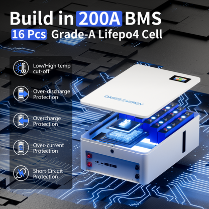 48V 200AH Lithium LiFePO4 Battery, 10.24kWh Capacity Wall Mounted 48V Lithium Battery with 100A BMS