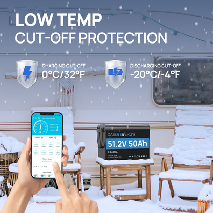 Oasesenergy 48V 50Ah LiFePO4 Battery with Bluetooth, 50A BMS, for Off-Grid, Solar, RV, Camper,Boats