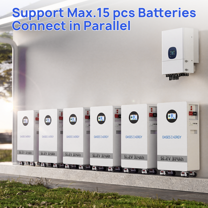 48V 314Ah LiFePO4 Lithium Battery, 16kWh Capacity Built-in 200A BMS & Touchable LCD Screen, for Solar System, Off-Grid Applications, Home Energy Storage,